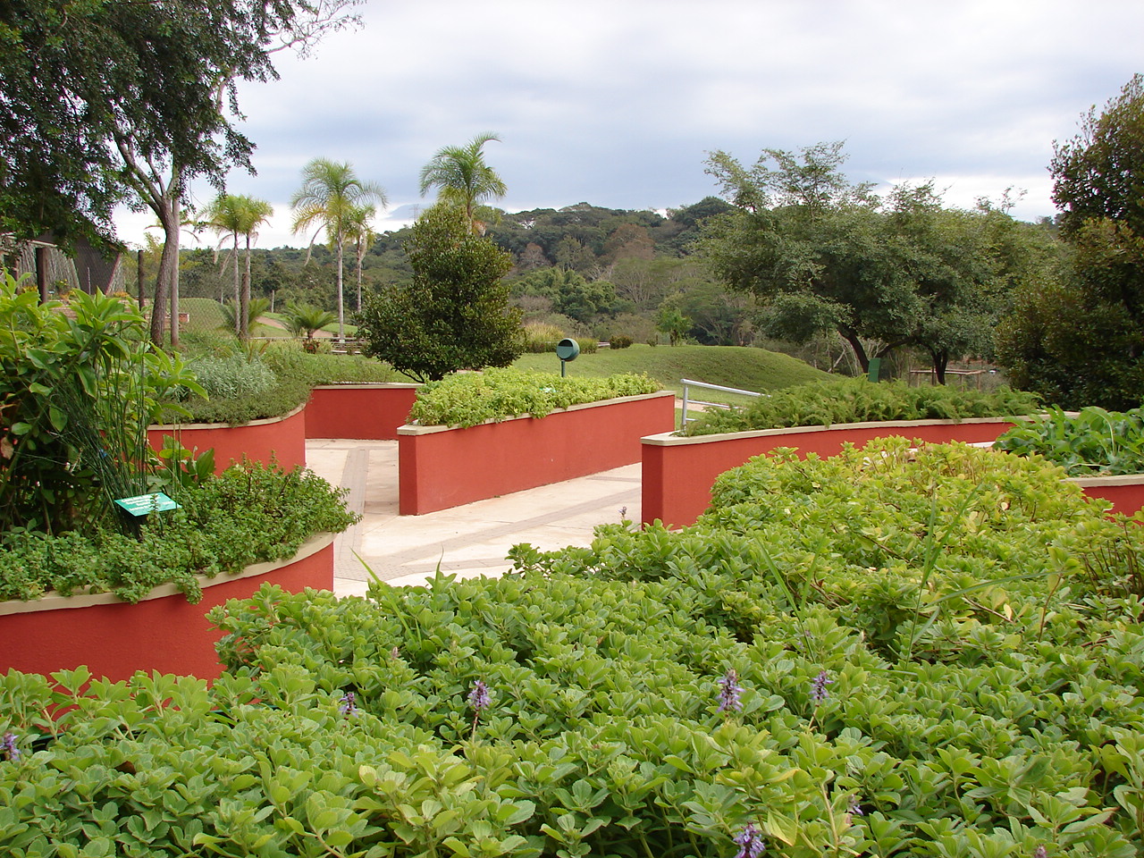 Jardim Botânico Municipal de Bauru Visita no Jardim Medicinal Sensorial do Jardim Botânico tem