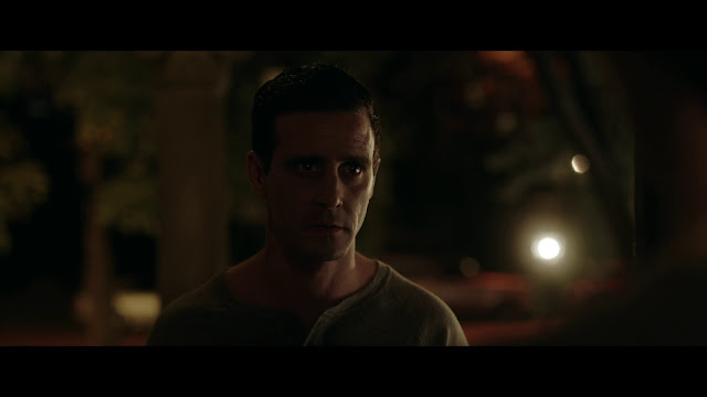 Descargar Family Blood 2018 DVDrip 1 Link Mega