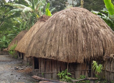 Yang Menjadi Keunikan Rumah Honai Rumah Adat Papua Informasi Nusantara