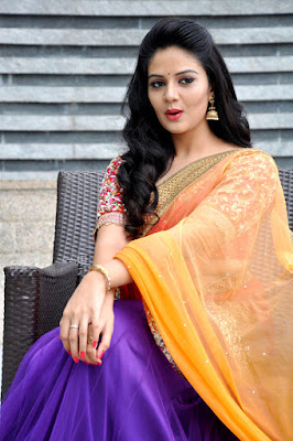 SriMukhi in Saree Photos