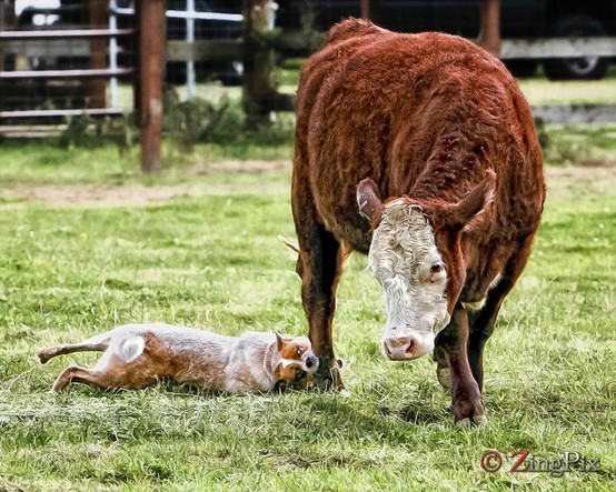 The Fabric of Sweet Repose: April 2012