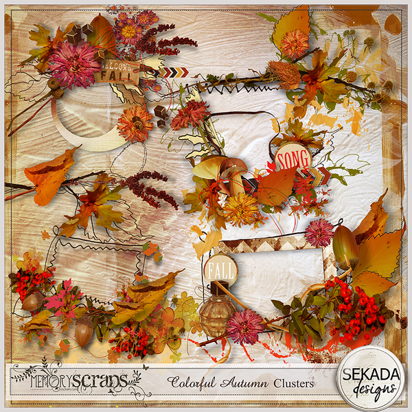 http://www.mscraps.com/shop/Colorful-Autumn-Clusters/