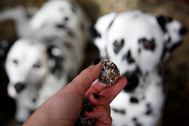 Hooked Dog Treats Hooked Dog Treats