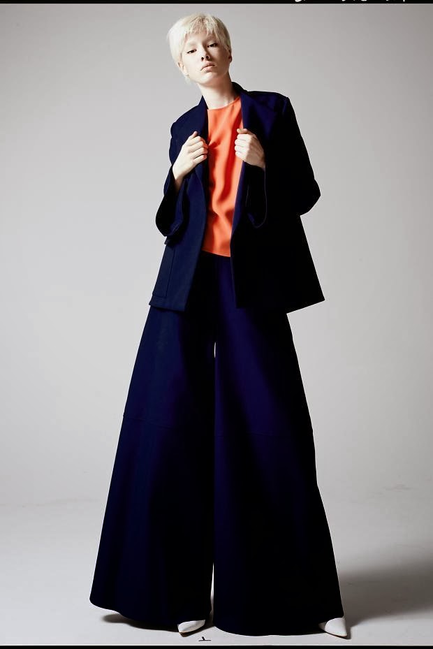 Fashion Runway | Rosie Assoulin Spring/Summer 2014 look book | Cool ...