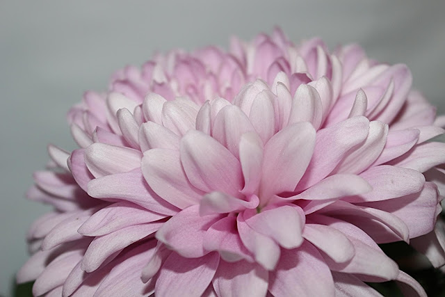 Ein Geschenk Von Und Fur Meine Nachbarin Lianes Hobbywelt