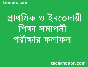 DPE Result 24 Dec 2018 Of Primary School Certificate EXAM | DPE EBT Result DPE-Result-24-Dec-2018-Of-Primary-School-Certificate-EXAM-DPE-EBT-Result
