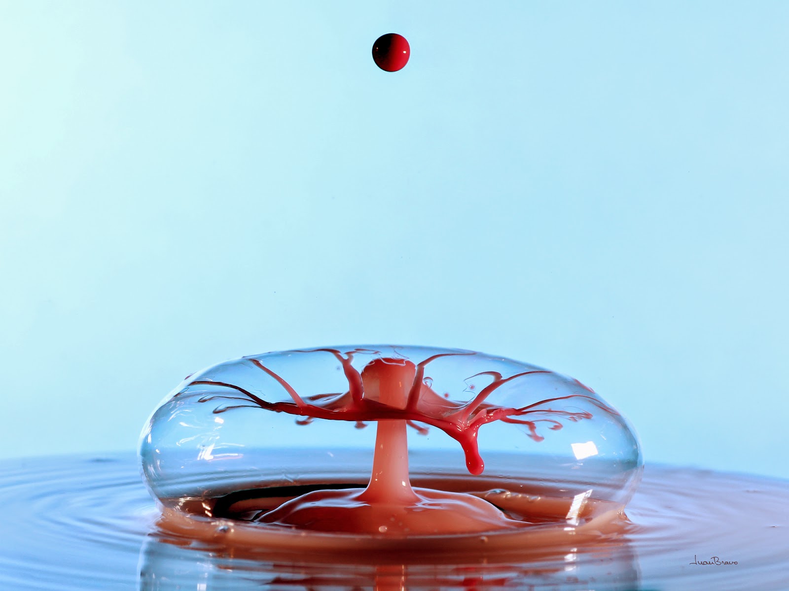 splash-en-pompa-jabon