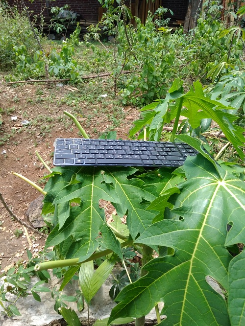 Cara Mengatasi Sebagian Tombol Keyboard Laptop Tidak Berfungsi