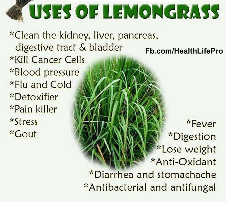 Benefits of Lemongrass. - ASVETH