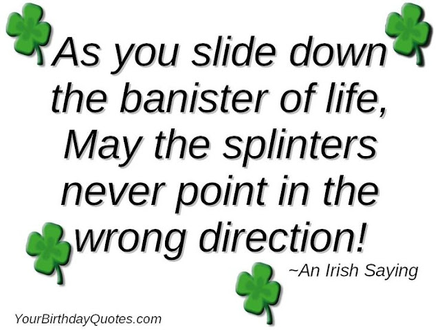 As you slide down the bannister of life, may the splinters never point in the wrong direction - Irish Saying - Celebrating St Patricks Day with Cats, Star Wars, Yoga... Ya Know, the Usual!  ;P  Plus, the #FridayFrivolity LINKY - the blog party where hosts comment, pin, tweet, and want to get to know you!