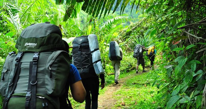 Image result for jalur baturaden gunung slamet