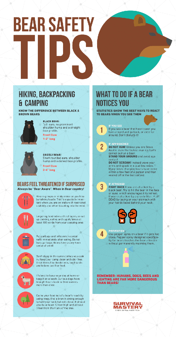 Survival Smarts Bear Safety Tips [Infographic]