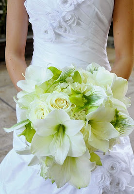 Amaryllis wedding flowers