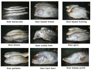 Bisnis Ikan