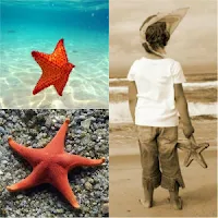 colaj foto: doua stele de mare si un baietel care tine in mana o stea de mare