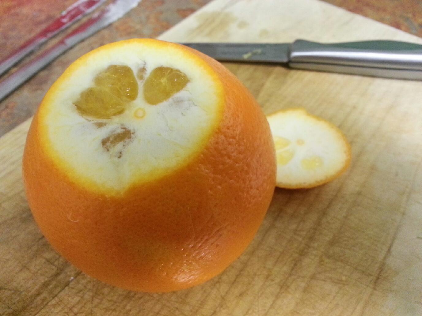 Huntress of the Northwest How To Segment Citrus Fruit