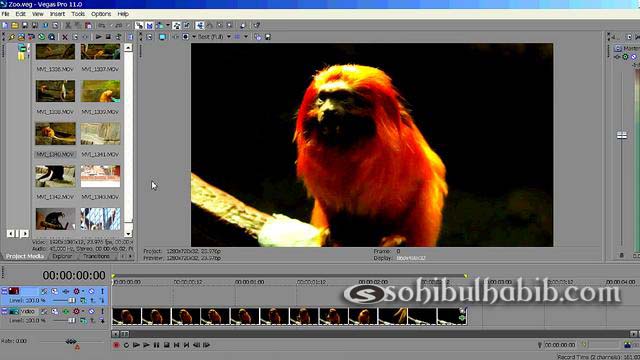 sony vegas pro 11 keygen 64 bit free download sony vegas pro 11 keygen 64 bit free download