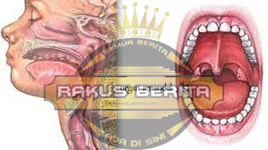 Mempercepat Pembesaran Amandel Mempercepat Pembesaran Amandel