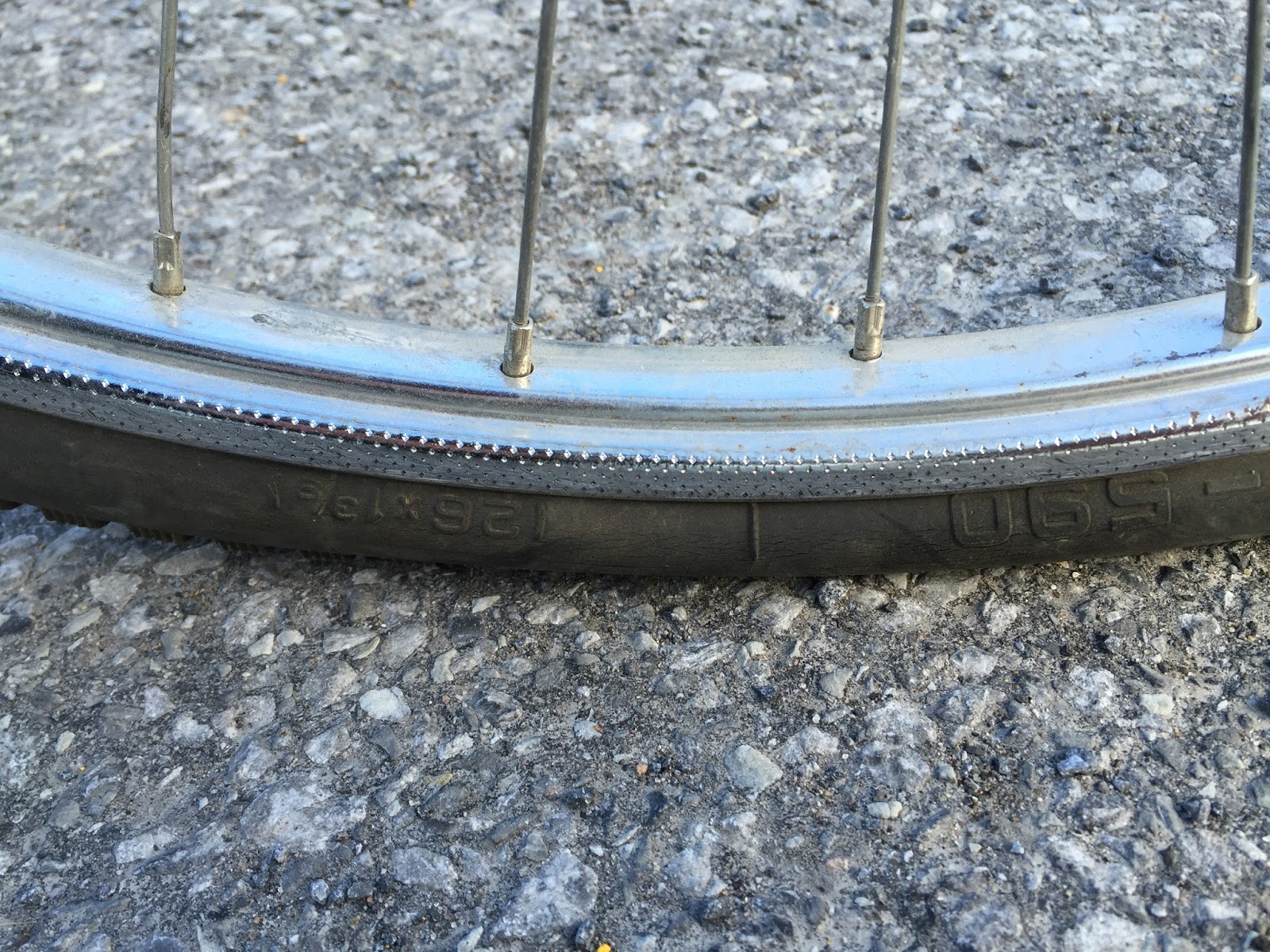 Daily Diggers June 2011