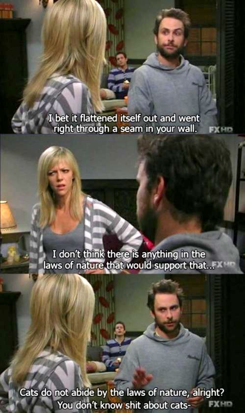 It S Always Sunny In Philadelphia Hilarious Images Daily