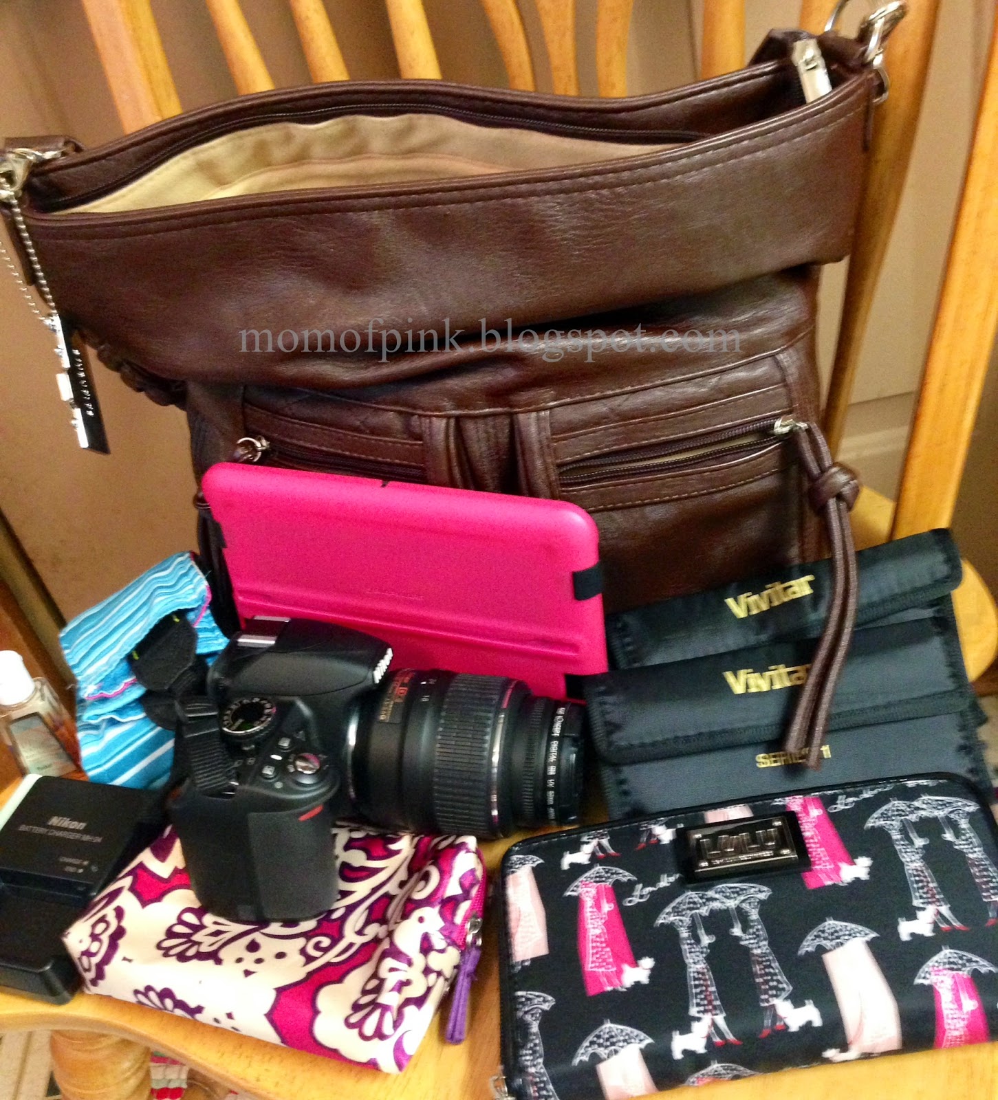 Mom of Pink Epiphanie Lyric Camera Bag that I won (review)