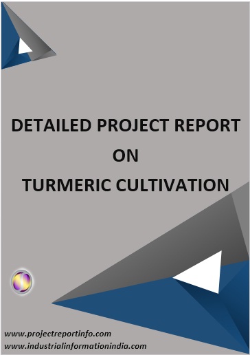 Turmeric Cultivation Project Report
