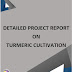 Project Report on Turmeric Cultivation