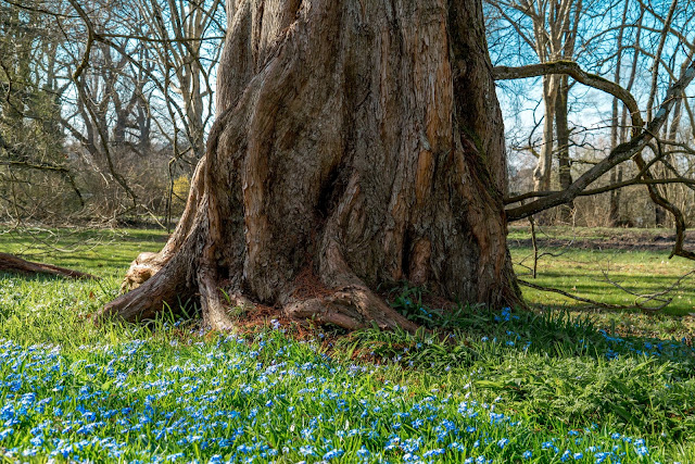 SeeGang Etappe 1 Stadt, Land und See -  Von der historischen Stadt Konstanz über die Blumeninsel Mainau nach Wallhausen. 11