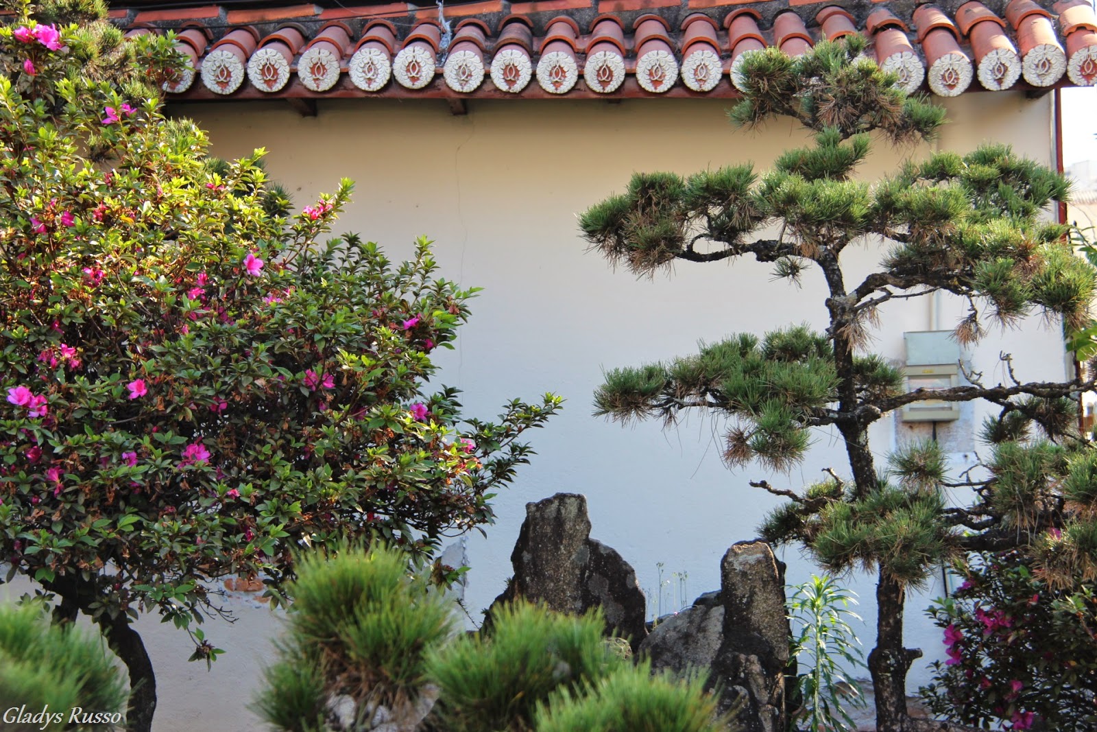 Passear e Fotografar Templo Budista Honpa