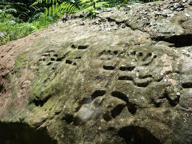 Petroglifos de Panguana