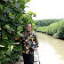Riyono Berdialog Tentang Pengelolaan Mangrove di Pantai Logending Kebumen