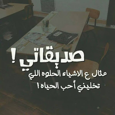 shof_3bbd84c9d4b41fd