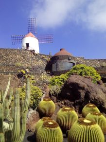 Jardin de Cactus Giardino dei Cactus