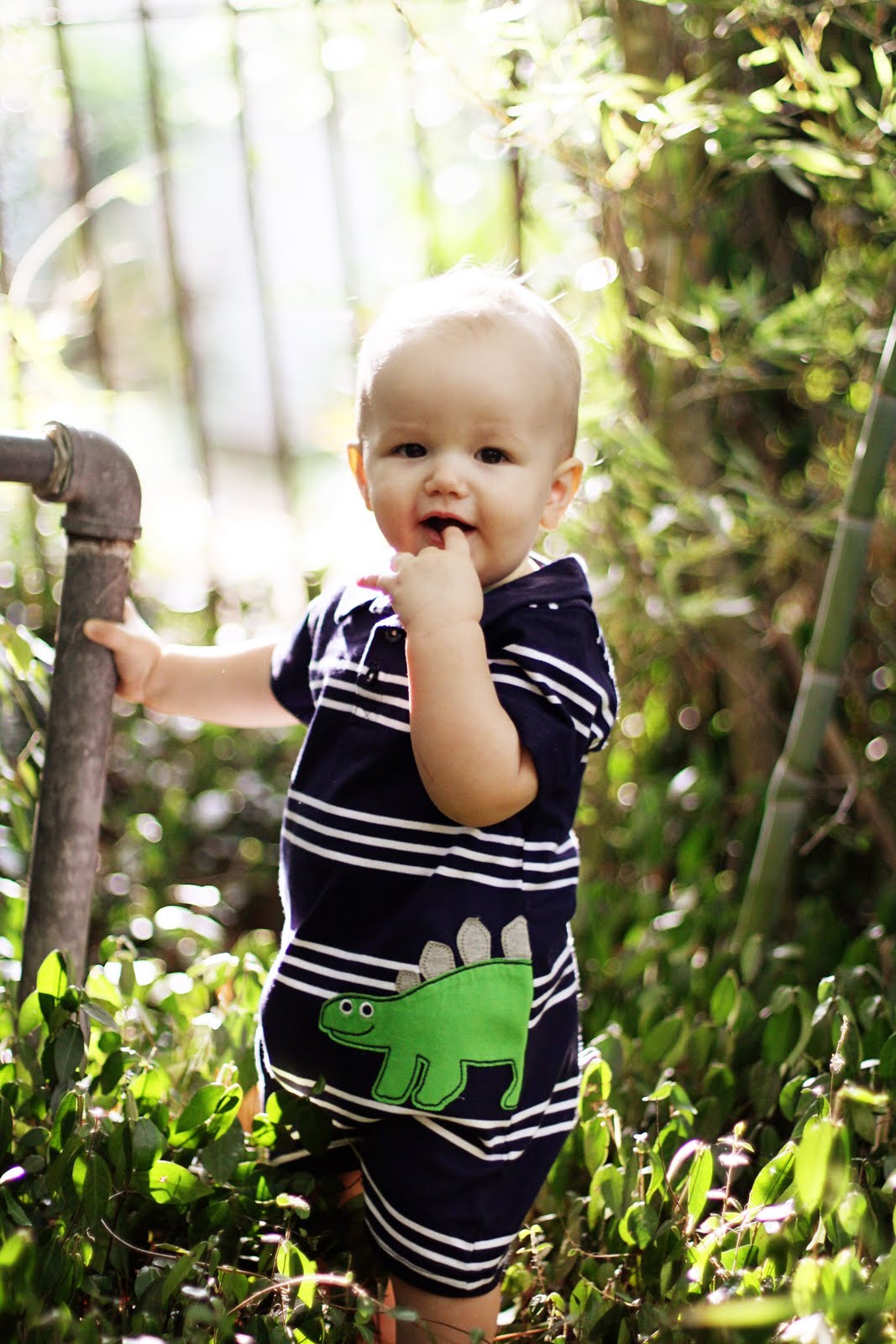 Photography by Joyelle: THE CUTEST BABY BOY IN THE WHOLE WIDE WORLD HAS ...
