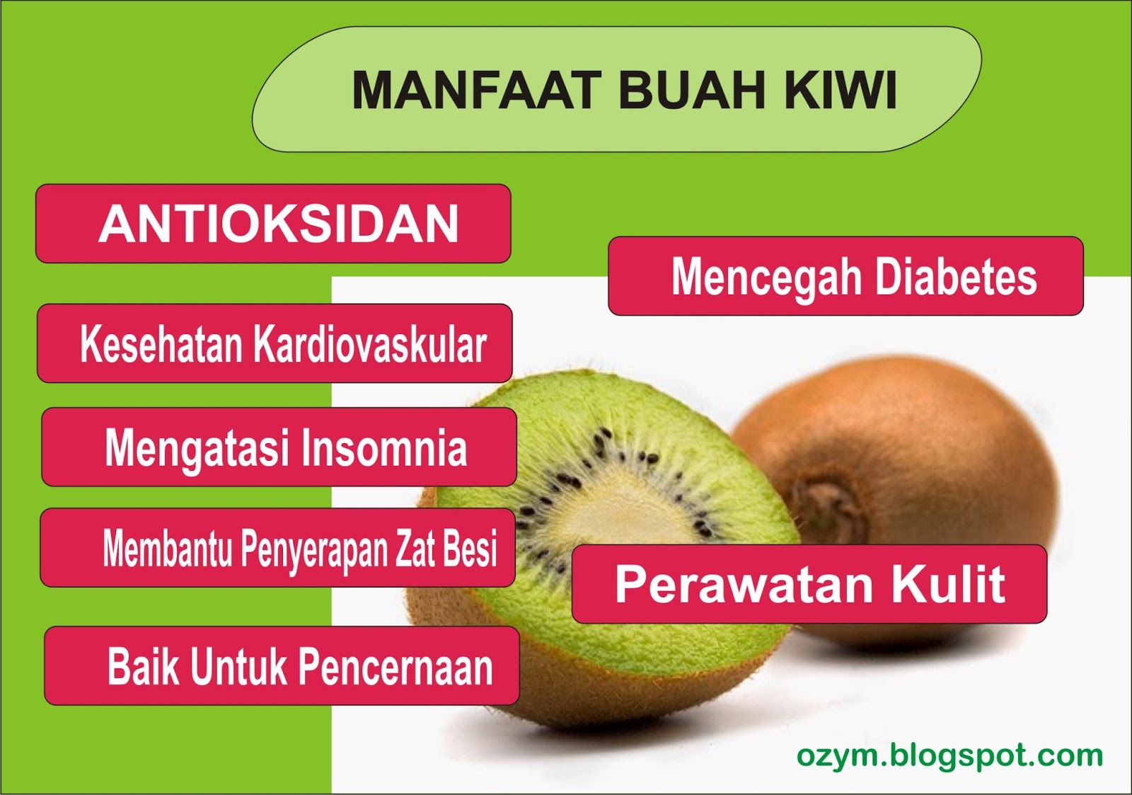 11 Manfaat Buah Kiwi Yang Menakjubkan Ozym Blog