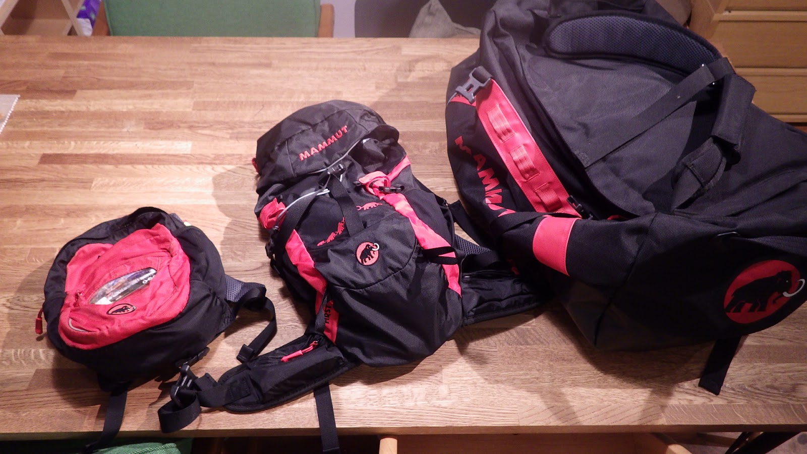 全てはカタチから 息子達のリュックはマムート