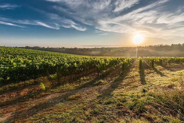 Agricultura de Italia