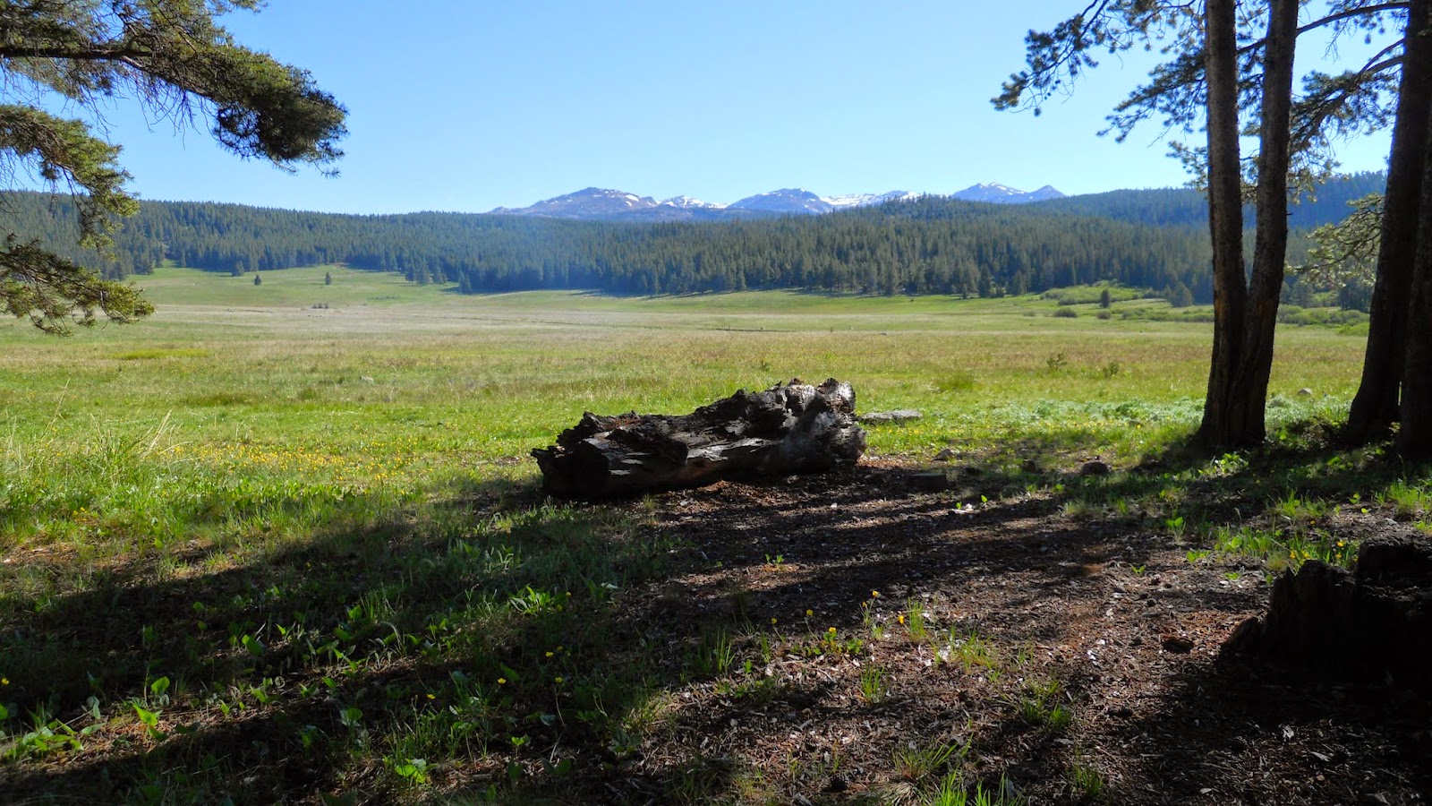 National Forest Camper Sitting Bull Campground
