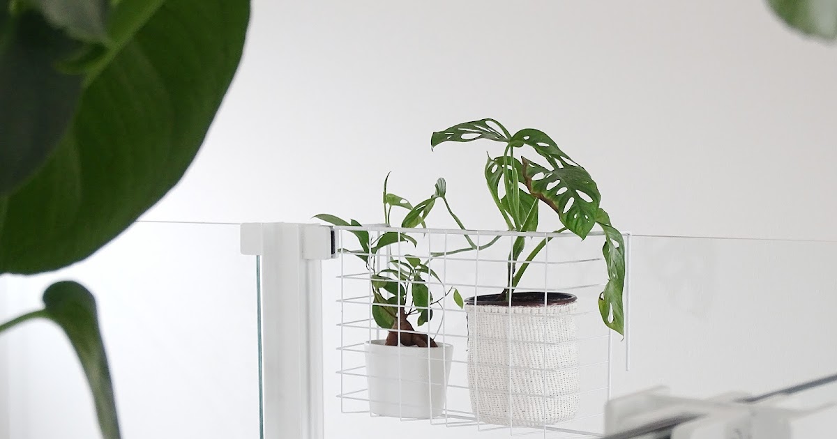 Auf der Mammilade|n-Seite des Lebens | Personal Lifestyle, DIY and