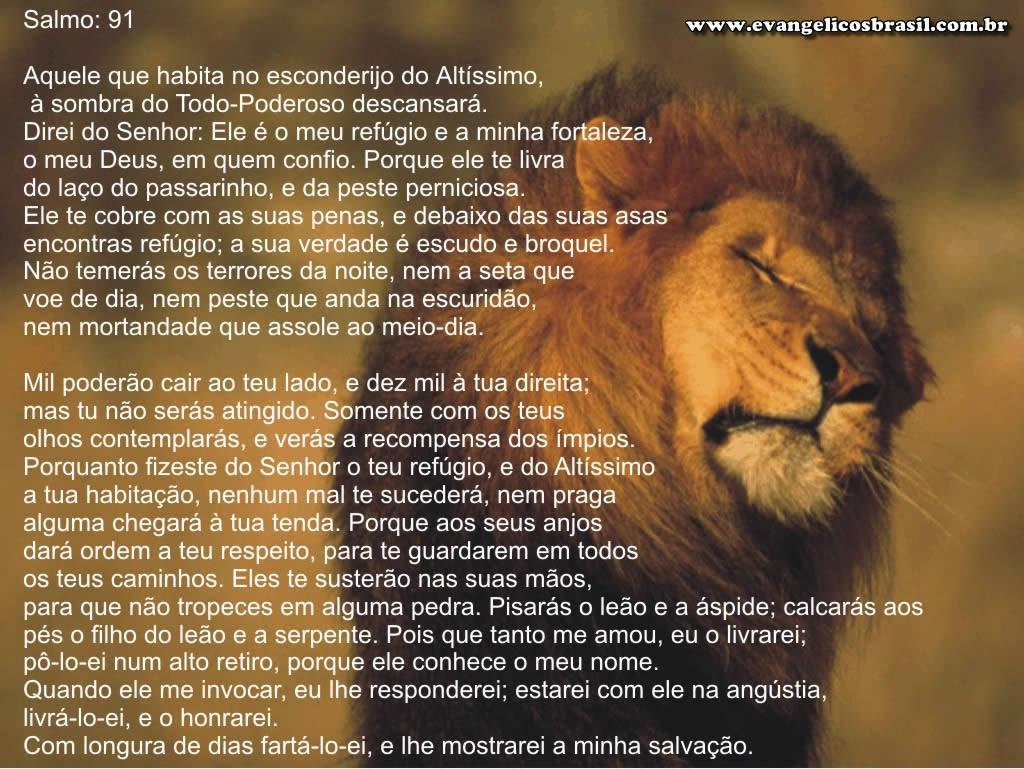 SimplesmenteBebel O poder do Salmo 91 SimplesmenteBebel O poder do Salmo 91