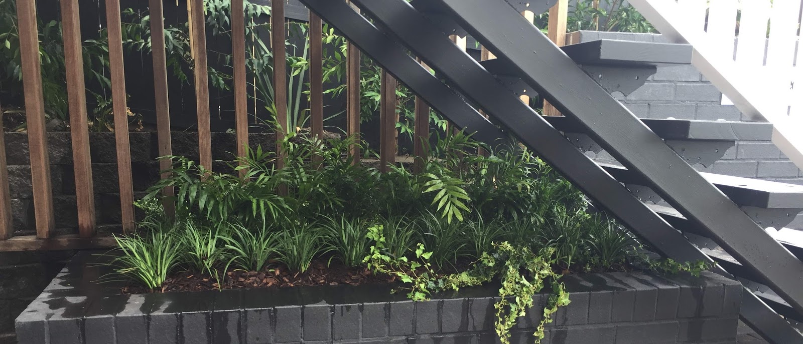 Landscaping Ideas For Small Slopes Finally A Double Rainbow