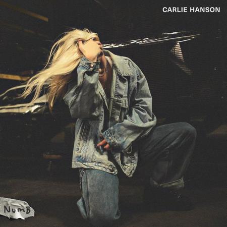 Carlie Hanson Numb Lyrics