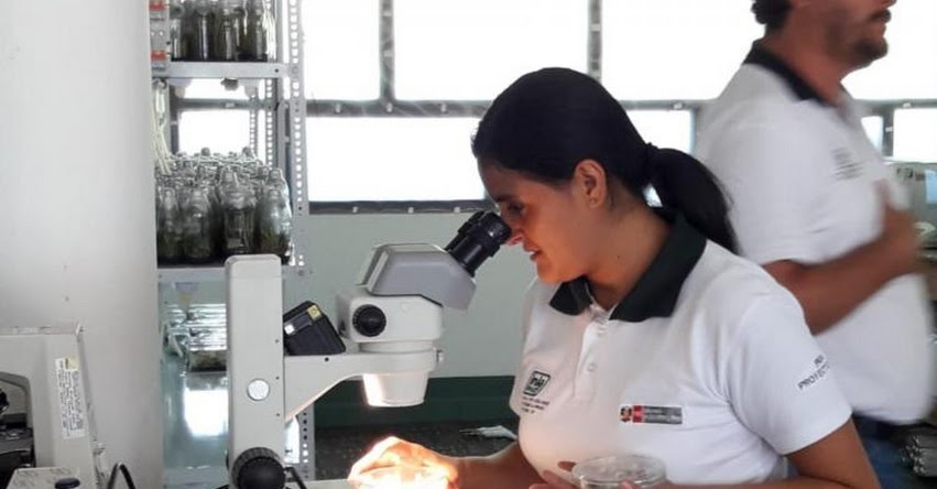 CONCYTEC podrá crear cuerpo de investigadores en Ciencia, Tecnología e Innovación - www.concytec.gob.pe CONCYTEC podrá crear cuerpo de investigadores en Ciencia, Tecnología e Innovación - www.concytec.gob.pe