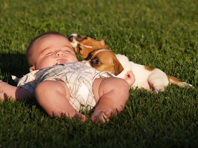 Lovely baby kid sleeping with puppies pictures to download
