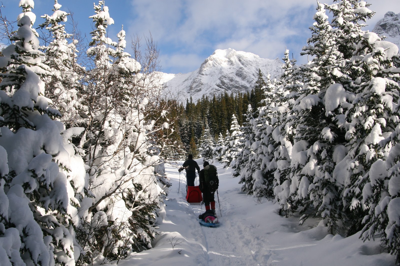 Family Adventures in the Canadian Rockies: How to Choose a Winter Hiking  Trail