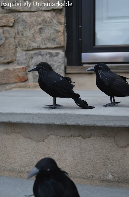 Faux Black Crows on the stoop close up