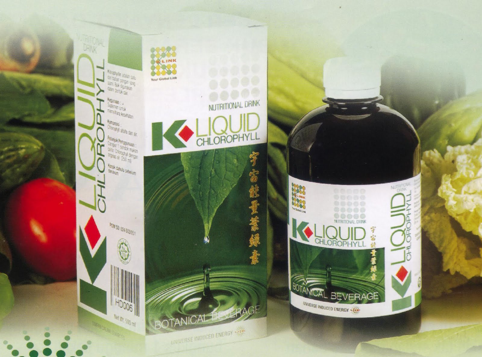 KLiquid Chlorophyll Global Network Asia