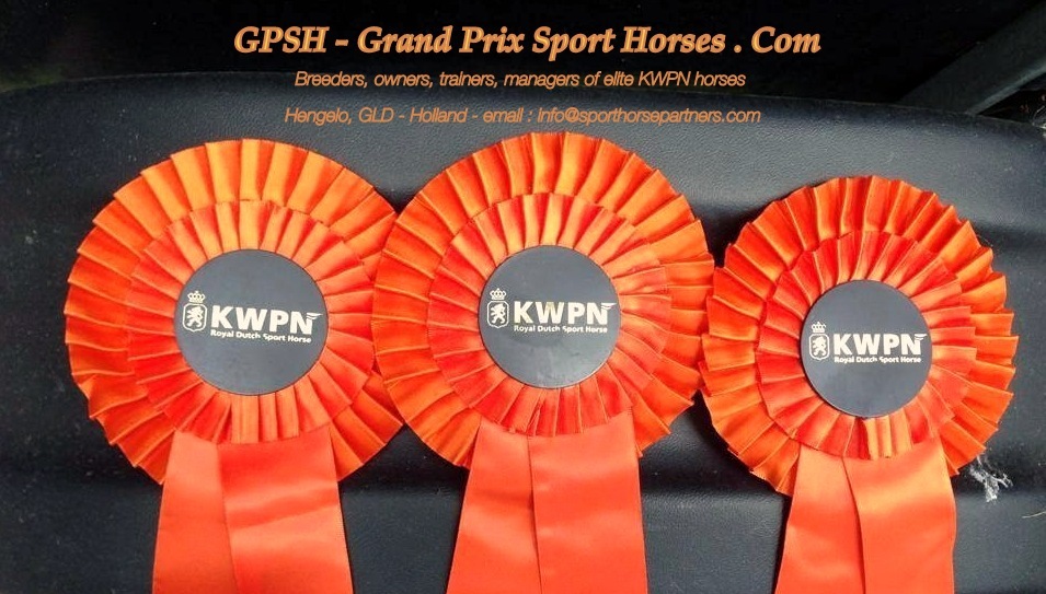      Grand Prix Sport Horses . Com