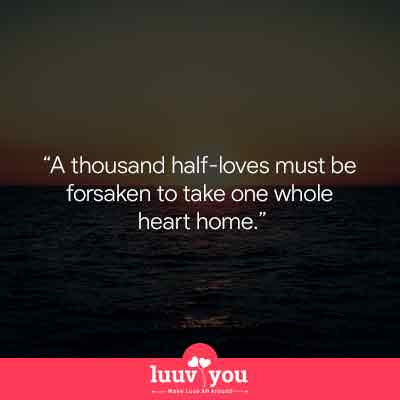 love Rumi Quotes
