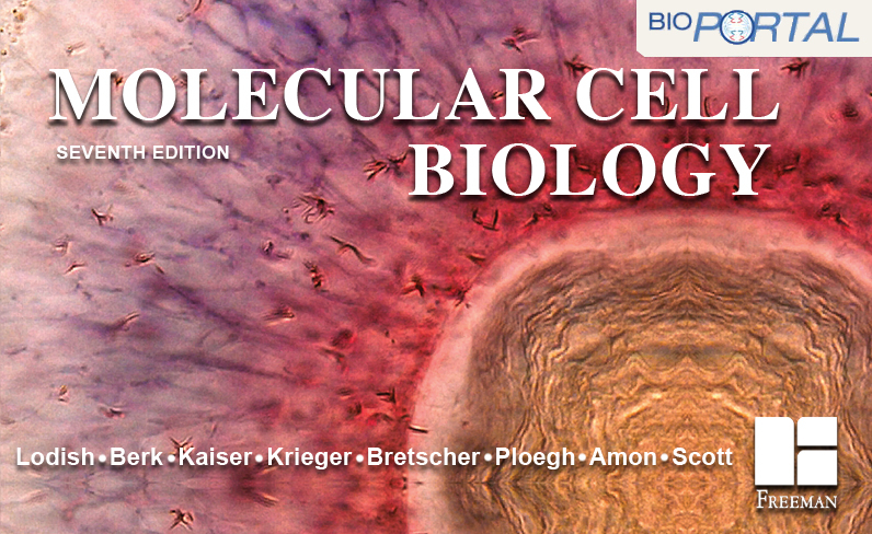 Molecular cell biology lodish 6th edition